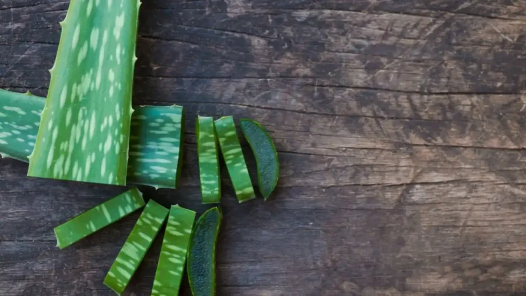 10 Powerful Skin Remedies That Actually Work 2 Aloe Vera for Skin