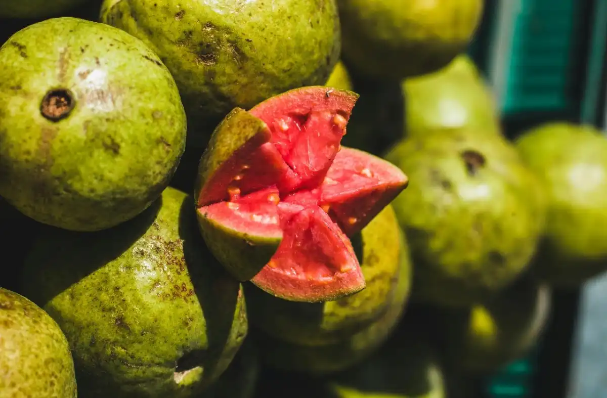 Health Benefits of Guava